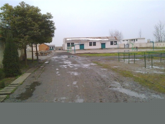 陶营中学操场 (2).jpg