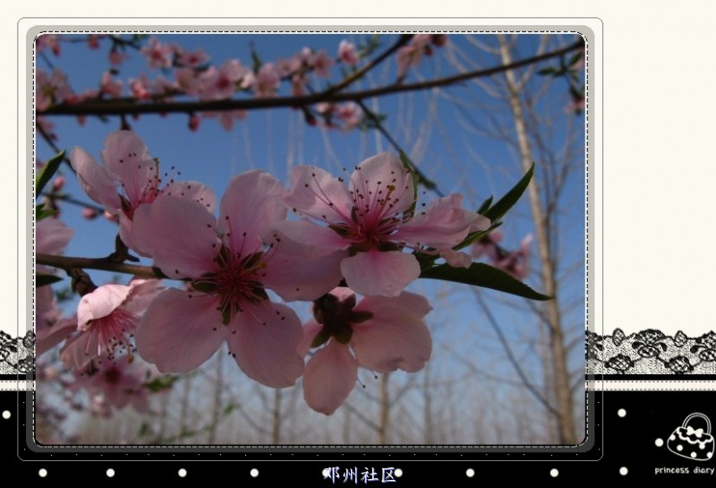 IMG_9066_副本.jpg