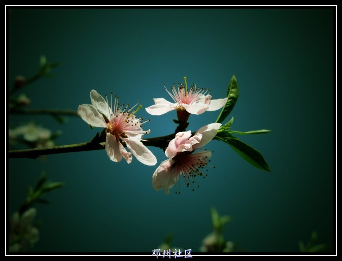 IMG_9057_副本.jpg