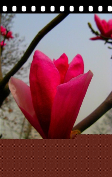 IMG_8938_副本.jpg