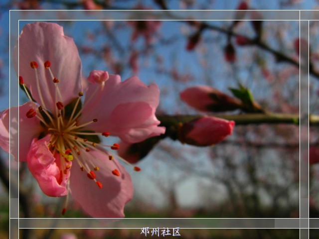 IMG_9063_副本.jpg