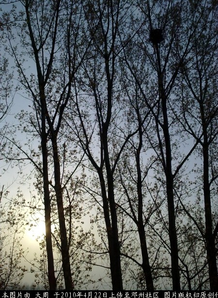 20100422263.jpg