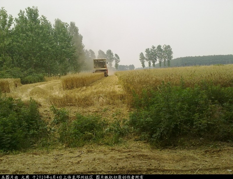 20100604616.jpg