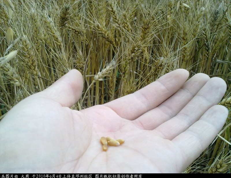 20100604609.jpg