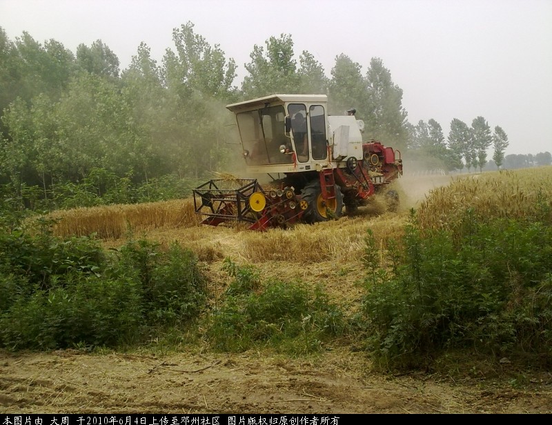 20100604617.jpg