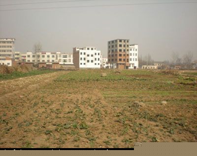 被霸占的33亩土地上已经先期开发的两栋楼  