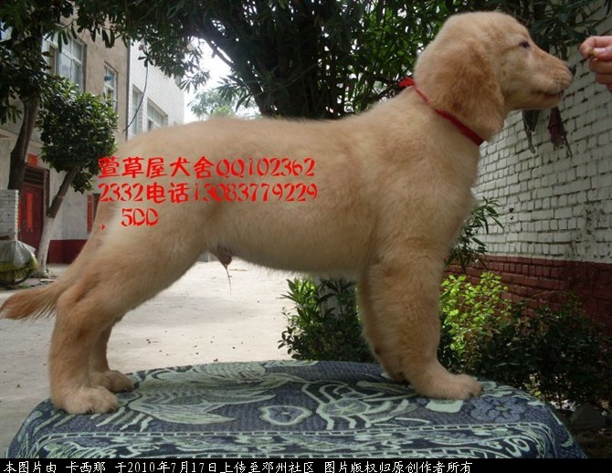 62e9d265t820b36da45ed&690.jpg