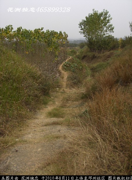 BigBull_CIMG0683.JPG