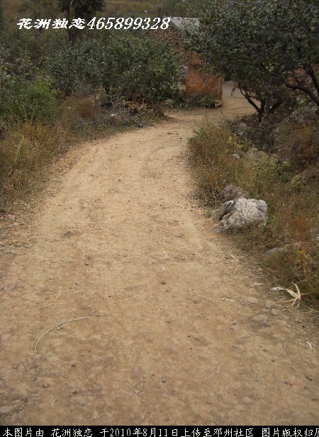 BigBull_CIMG0688.JPG