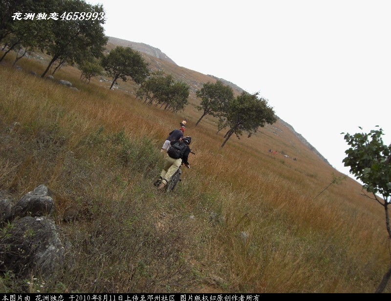 BigBull_CIMG0698.JPG