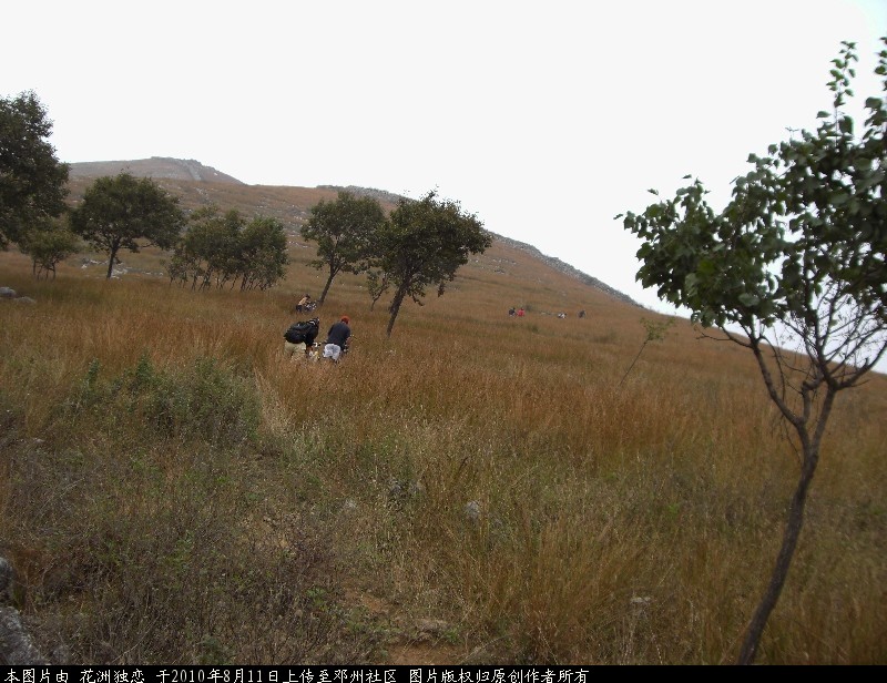 BigBull_CIMG0699.JPG