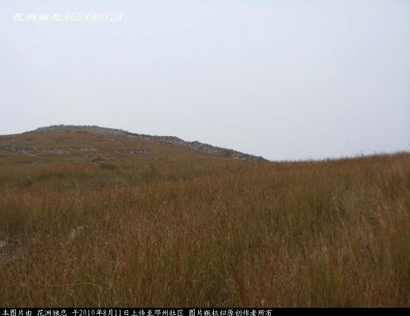 BigBull_CIMG0716.JPG