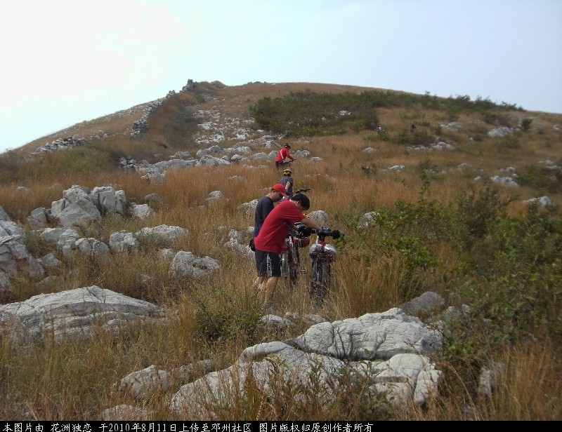 BigBull_CIMG0749.JPG