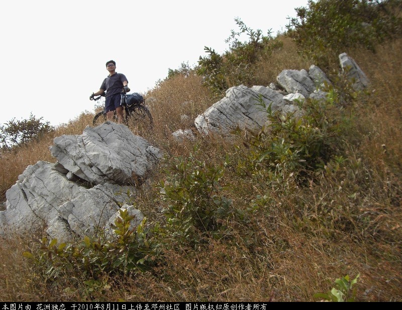 BigBull_CIMG0759.JPG