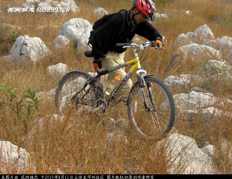 BigBull_CIMG0755.JPG