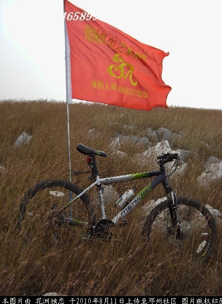 BigBull_CIMG0772.JPG