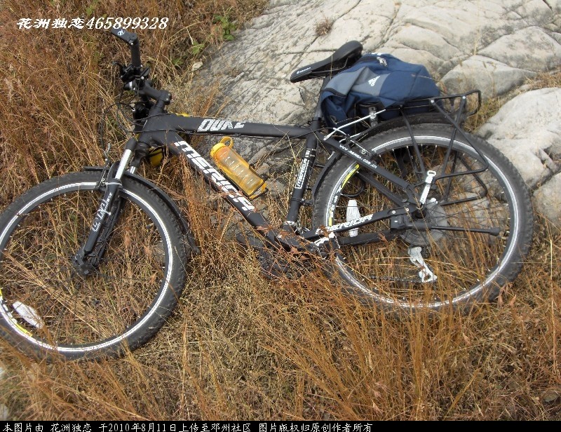 BigBull_CIMG0796.JPG