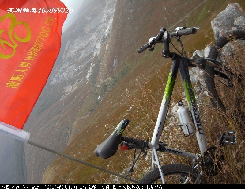 BigBull_CIMG0808.JPG