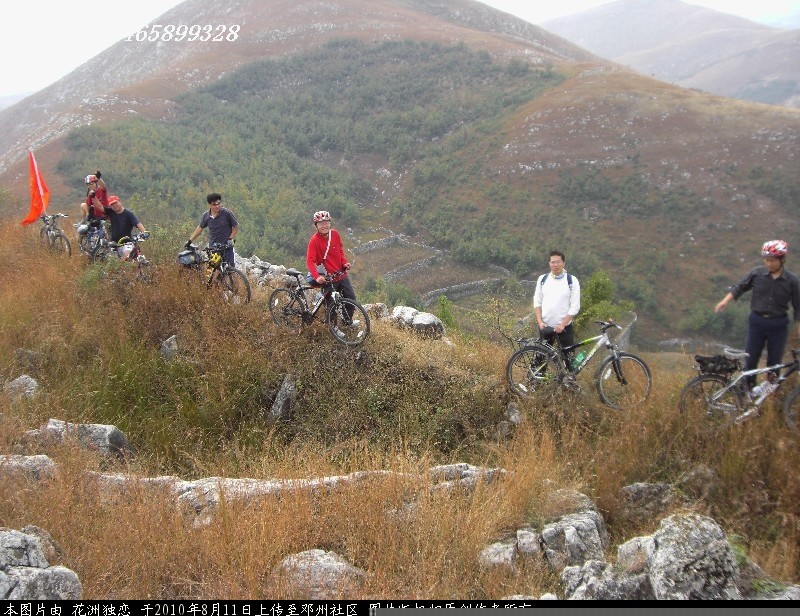 BigBull_CIMG0820.JPG