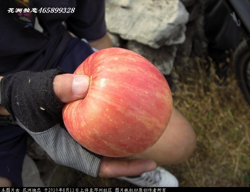 BigBull_CIMG0840.JPG