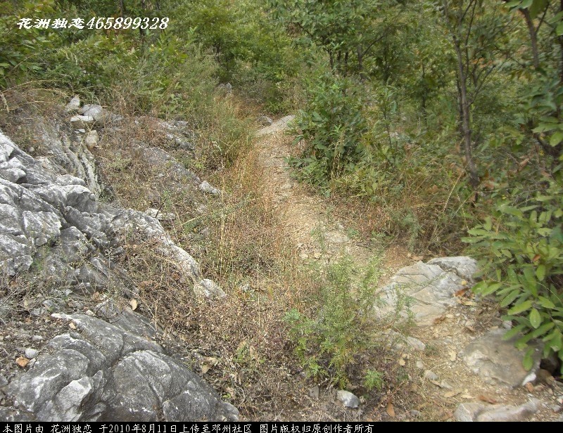 BigBull_CIMG0868.JPG