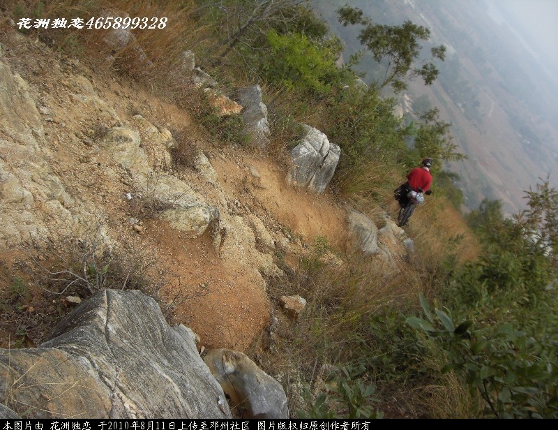 BigBull_CIMG0878.JPG