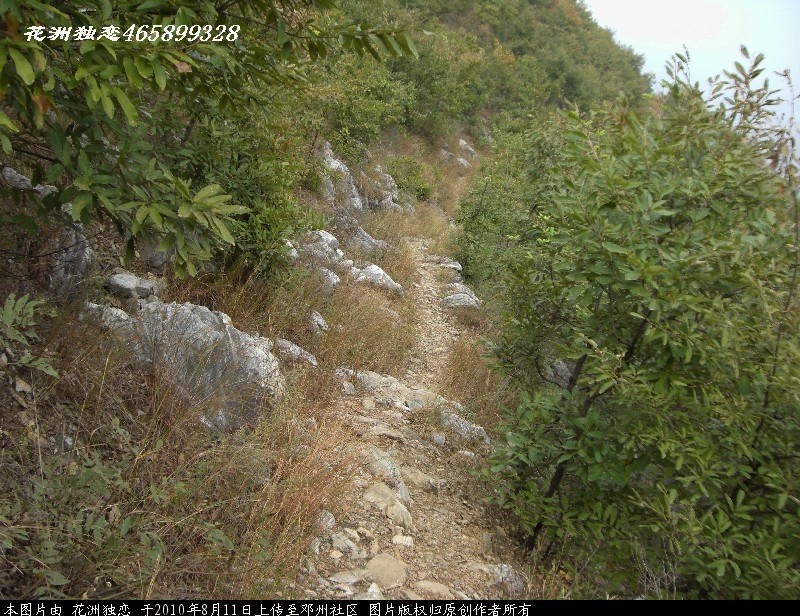BigBull_CIMG0870.JPG