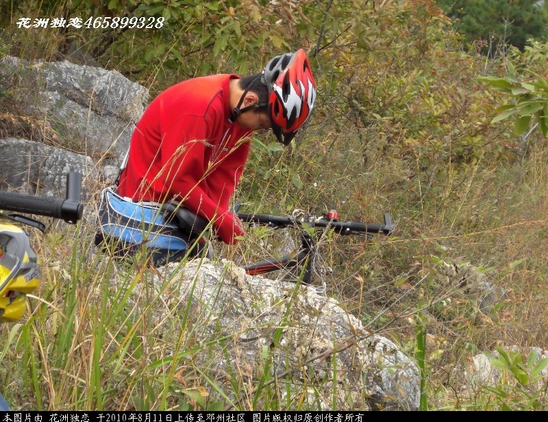 BigBull_CIMG0879.JPG