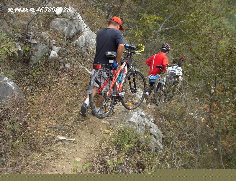 BigBull_CIMG0874.JPG