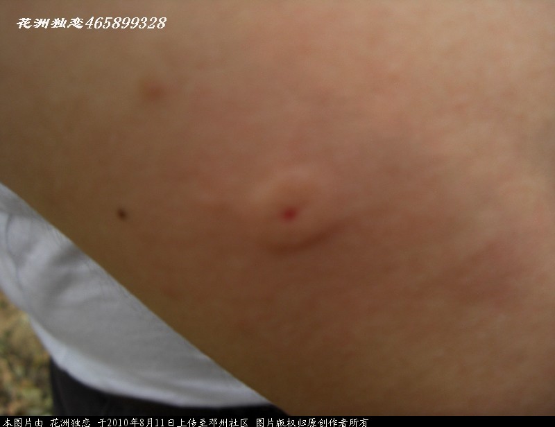 BigBull_CIMG0893.JPG