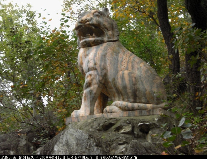 BigBull_CIMG0908.JPG