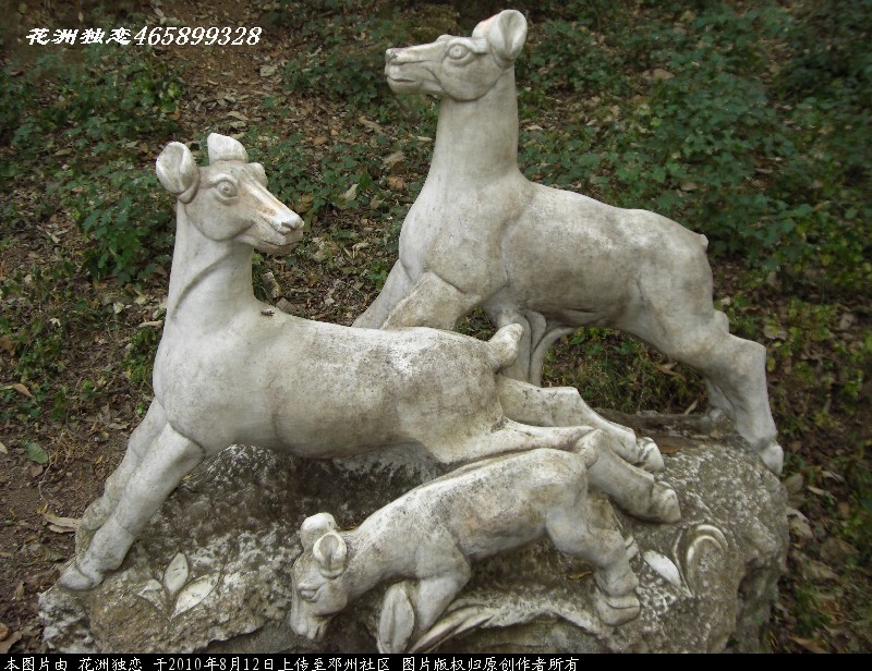 BigBull_CIMG0906.JPG