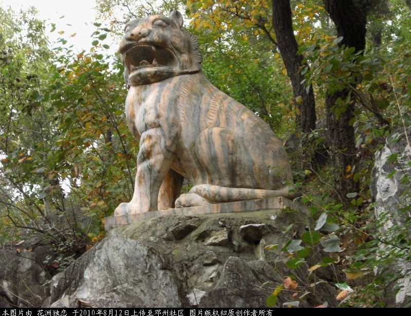 BigBull_CIMG0907.JPG