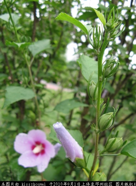 照片 055.jpg