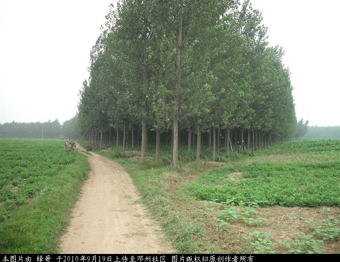 美丽邓州风光.jpg