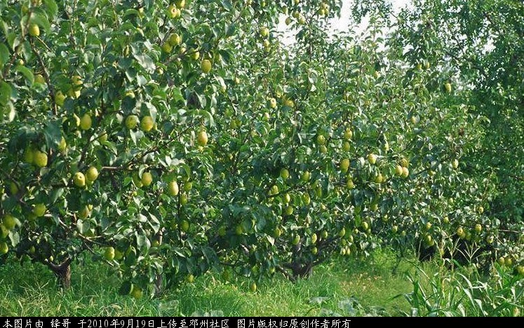 ASD2010013.jpg